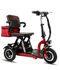 Электротрицикл Elbike Адьютант A1