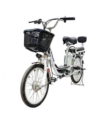Электрический велосипед GreenCamel Транк-20 V2 (R20 250W10Ah)