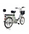 Электрический велосипед GreenCamel Транк-20 V2 (R20 250W10Ah)