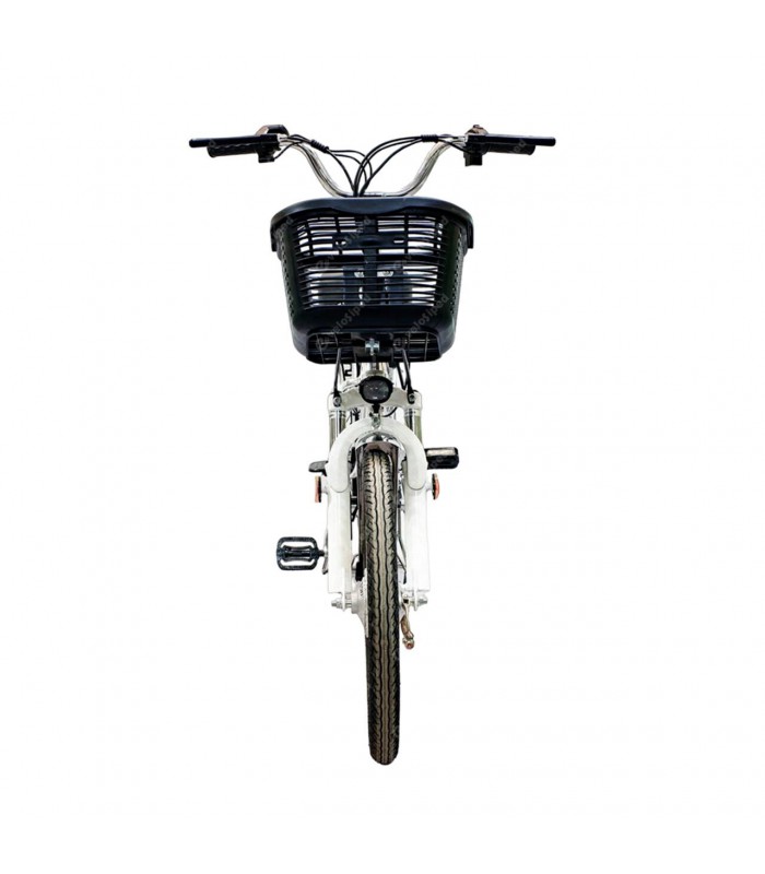 Купить Электрический велосипед GreenCamel Транк-20 V2 (R20 250W10Ah)