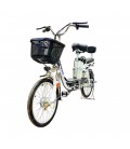 Электровелосипед GreenCamel Транк-2 V2 (R20 250W 10Ah) двухподвес