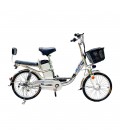 Электровелосипед GreenCamel Транк-2 V2 (R20 250W 10Ah) двухподвес