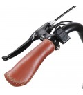 Электрофэтбайк Cayman 750W