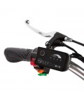 Трицикл CROLAN 350W