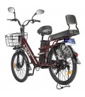 Green City e-ALFA LUX электровелосипед с корзиной