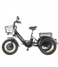 Трехколесный электровелосипед GREEN CITY e-ALFA Trike