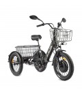 Трехколесный электровелосипед GREEN CITY e-ALFA Trike