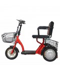 Трехколесный электроскутер (трицикл) Elbike Адъютант Twix 350 (2x350w 48v20a)