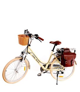 Электровелосипед Elbike Monro Vip