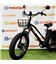 Трицикл Minako Trike Fat 24