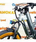Электрофэтбайк COSWHEEL M20 20Ah