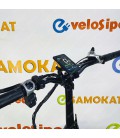 Электро фэтбайк RockWheel RX 20T Dual 2024