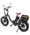 Электрофэтбайк Cayman DUAL PRO 1500W