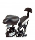 Электровелосипед Elbike Duet