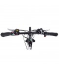Электровелосипед Elbike Rapid