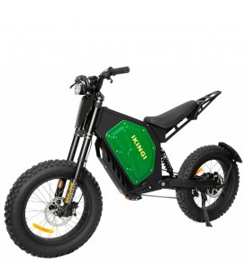 Электровелосипед Ikingi EBA 219
