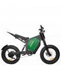 Электровелосипед Ikingi EBA 219