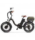 Электрофэтбайк Cayman DUAL PRO 1500W
