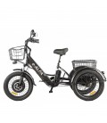 Трехколесный электровелосипед GREEN CITY e-ALFA Trike
