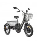 Трехколесный электровелосипед GREEN CITY e-ALFA Trike
