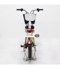 Электровелосипед GreenCamel Транк-18 V2 60v10Ah