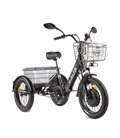 Трехколесный электровелосипед GREEN CITY e-ALFA Trike