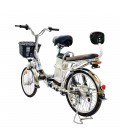 Электровелосипед GreenCamel Транк-2 V2 (R20 250W 10Ah) двухподвес