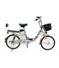 Электровелосипед GreenCamel Транк-2 V2 (R20 250W 10Ah) двухподвес