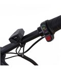 Электровелосипед Elbike Galant (C05)