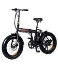 Электрофэтбайк Jetson F20-M BIZON 48V12Ah Без амортизации