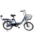 Электровелосипед Elbike Duet