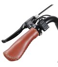 Электрофэтбайк Cayman 750W